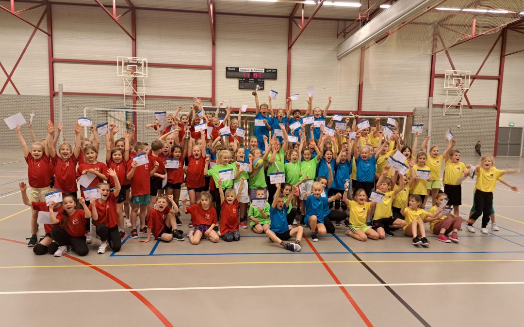 schoolvolleybaltoernooi